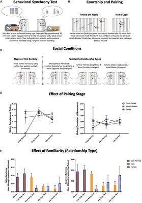 What’s in a Moment: What Can Be Learned About Pair Bonding From Studying Moment-To-Moment Behavioral Synchrony Between Partners?